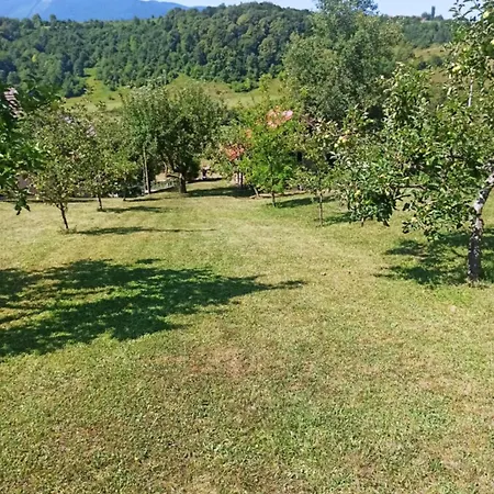 Retro Retreat Izacic דירה *